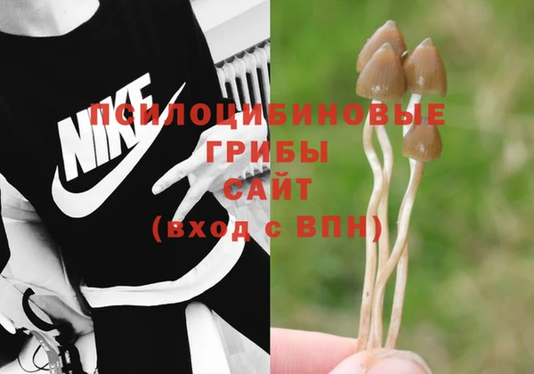 прущие крисы Семёнов